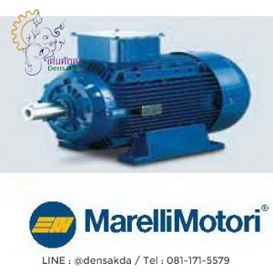 **มอเตอร์เมอร์รารี่ Marelli 1.5 HP รุ่น MAA 90S4