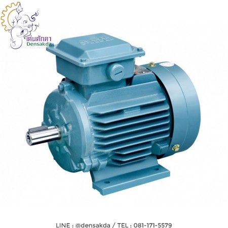 รูปตัวอย่าง **มอเตอร์เอบีบี Abb Motor 0.5 แรงม้า 2 โพล แบบขาตั้ง รุ่น M2QA71 M2A