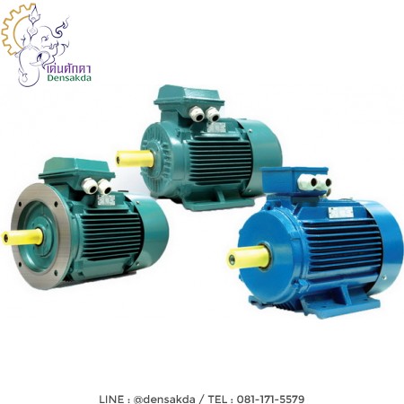 รูปตัวอย่าง **มอเตอร์มุลเลอร์ Muller Motor 4 แรงม้า 2 โพล แบบขาตั้ง B3 QY2 QY2B