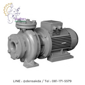 **ปั๊มน้ำสแตค Stac Water pump รุ่น NF2-32-16/200