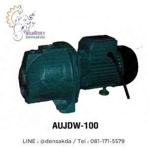 **ปั๊มน้ำหอยโข่งสำหรับบ่อบาดาล โปโล POLO รุ่น AUJDW-100