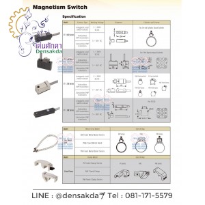 Magnestis switch