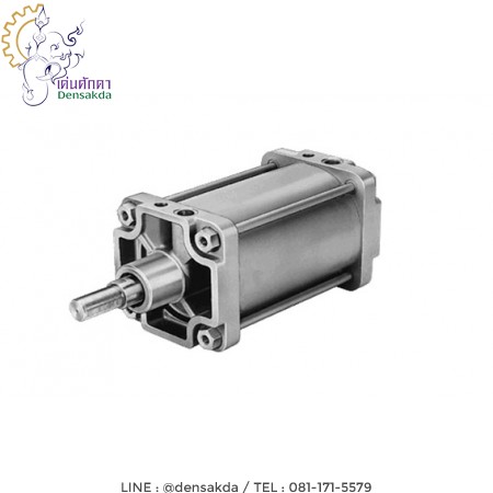 รูปตัวอย่าง กระบอกลมเฟสโต้ Festo Cylinder Standard DNG ISO 15552