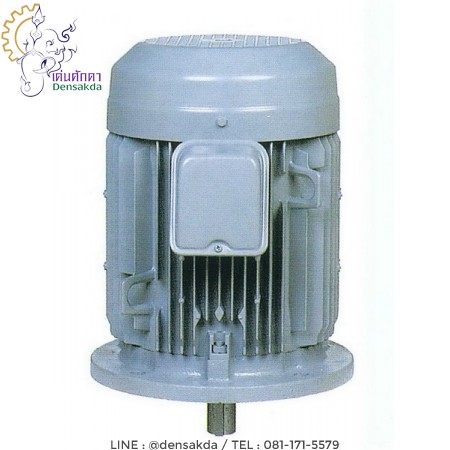 รูปตัวอย่าง มอเตอร์ฮิตาชิ Hitachi แบบหน้าแปลน 10 แรงม้า รุ่น 10 VTFO-KK(DK)(L,H)